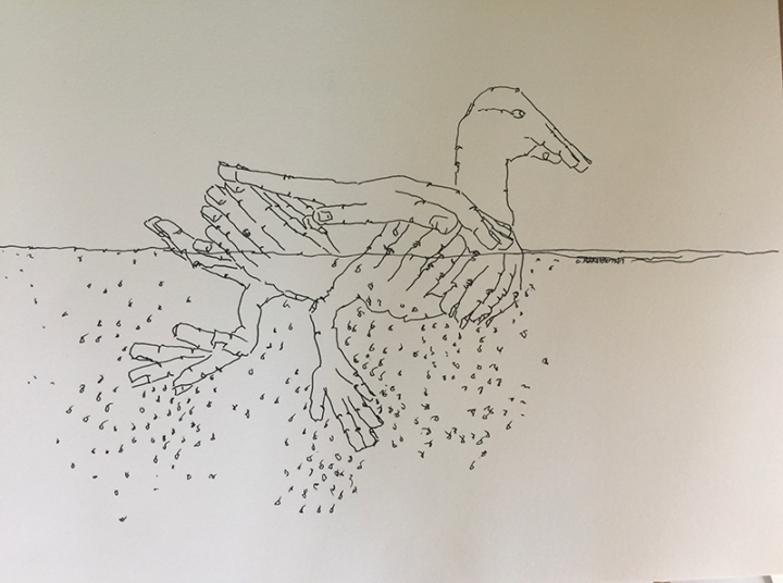 Ink drawing of a duck formed of fingers and hands paddling.