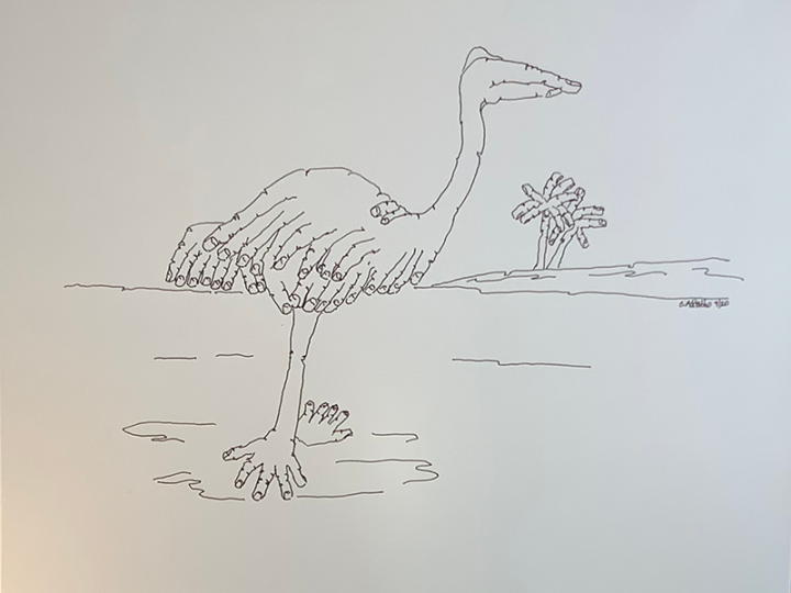 Black ink on paper drawing of an ostrich created with hands and fingers, in a landscape.