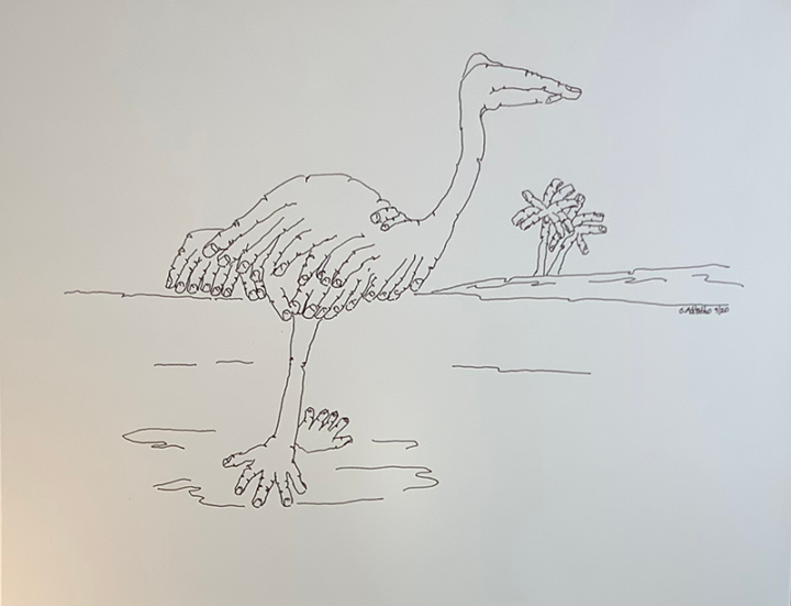 Black ink on paper drawing of an ostrich created with hands and fingers, in a landscape.