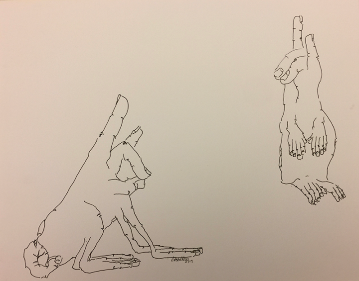 Black ink drawing on paper of 2 rabbit looking creatures formed with hands and fingers.