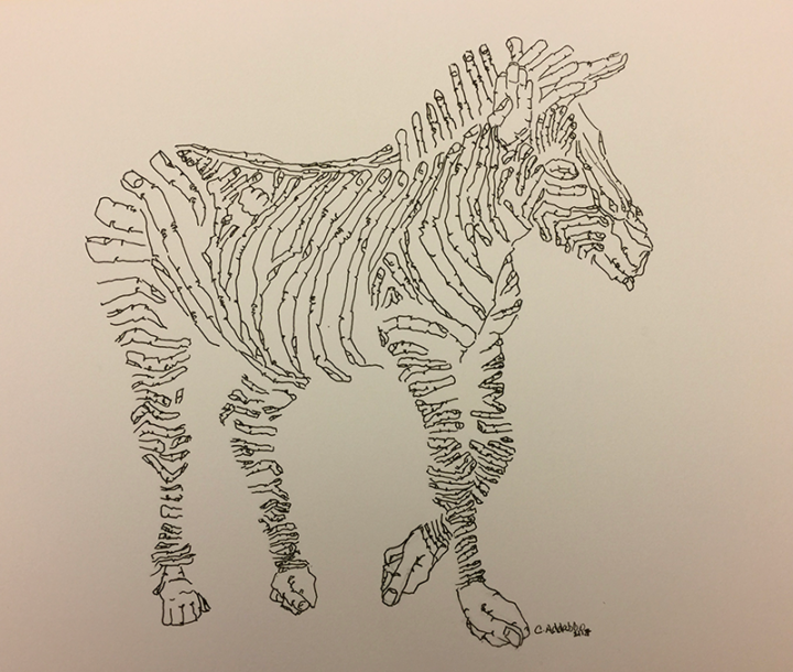 Ink on paper line drawing of a zebra, formed by fingers and hands.